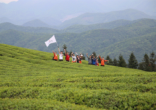 zoty��ŷ��(�й����޹�˾)�ٷ���վ