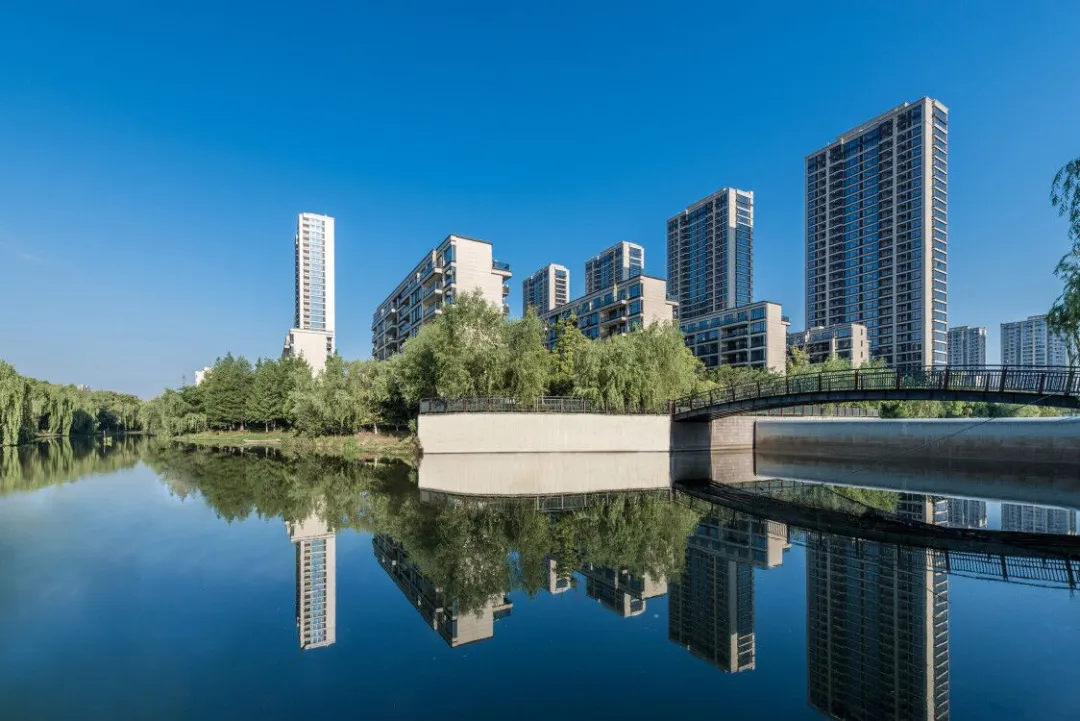 1597740680340055W7QV.jpg 1597726292(1).jpg