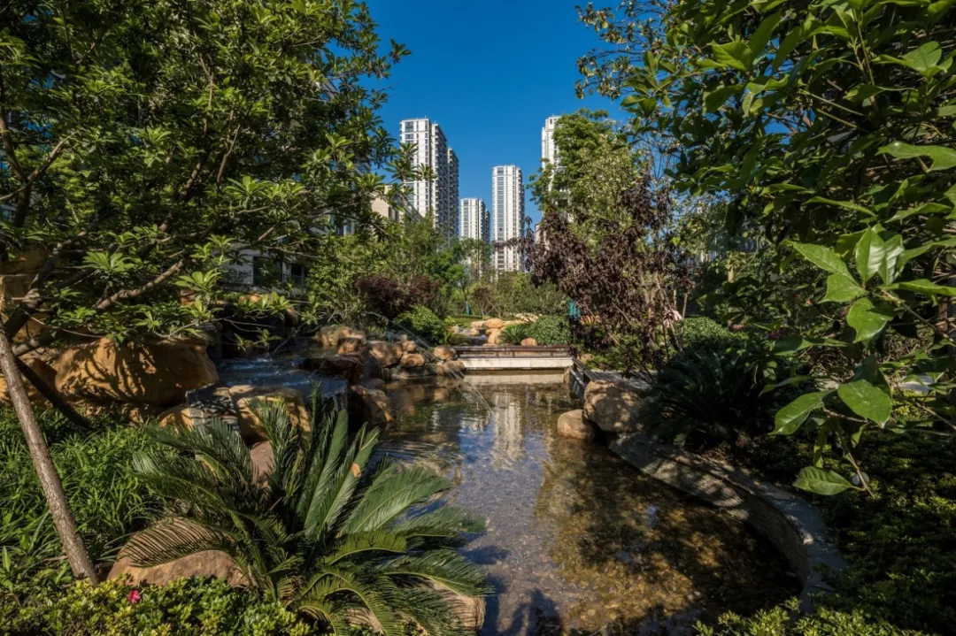 1597740887336081r8Ji.jpg 1597733614(1).jpg