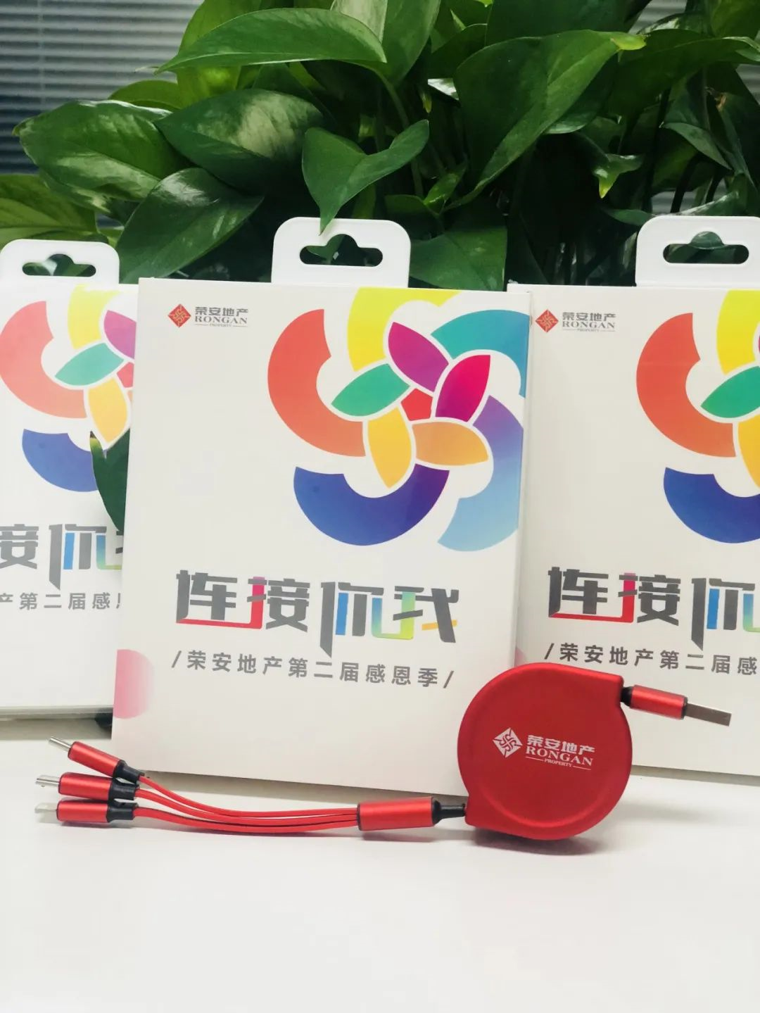 1607330524661126plER.png image.png