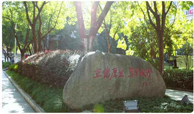 166202786935861613hp.png image.png