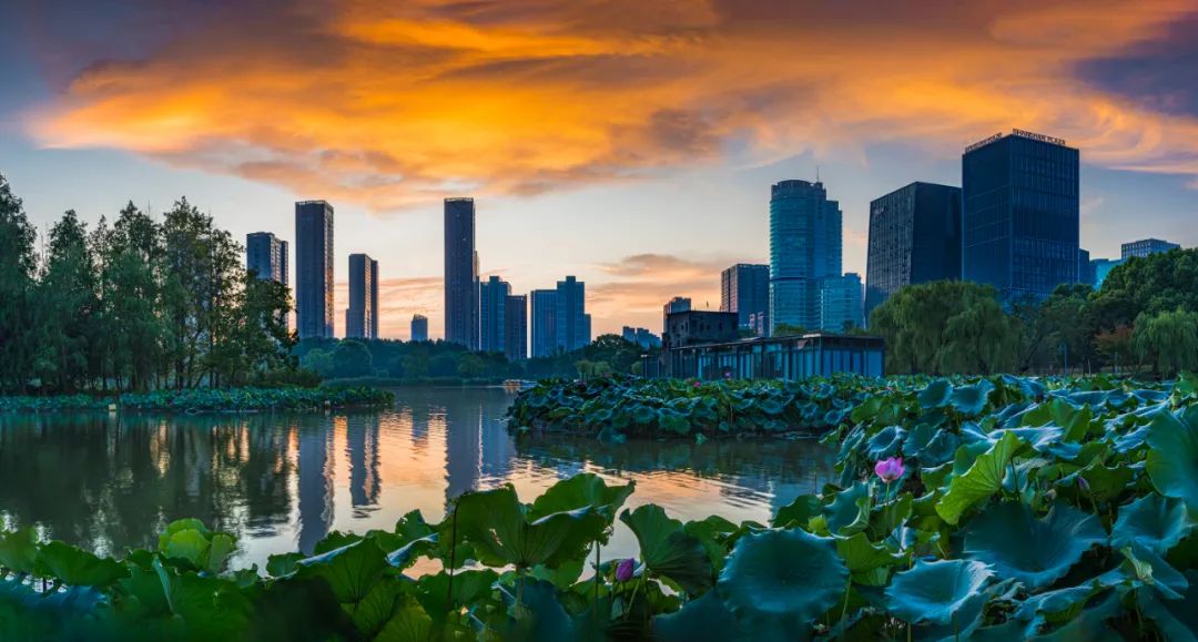 1679645171605584NPnQ.jpg 1679645171605584NPnQ.jpg