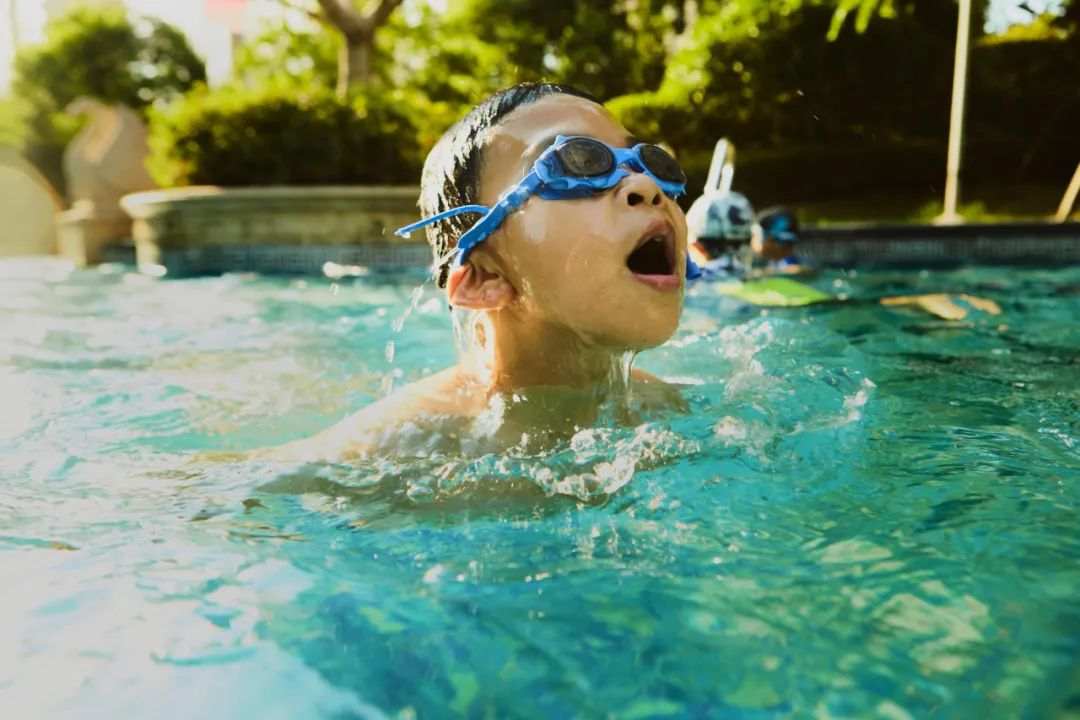 1679645210719754HGVF.jpg 1679645210719754HGVF.jpg