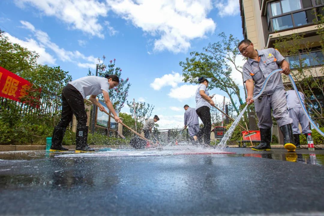 167964521993351982cl.jpg 167964521993351982cl.jpg