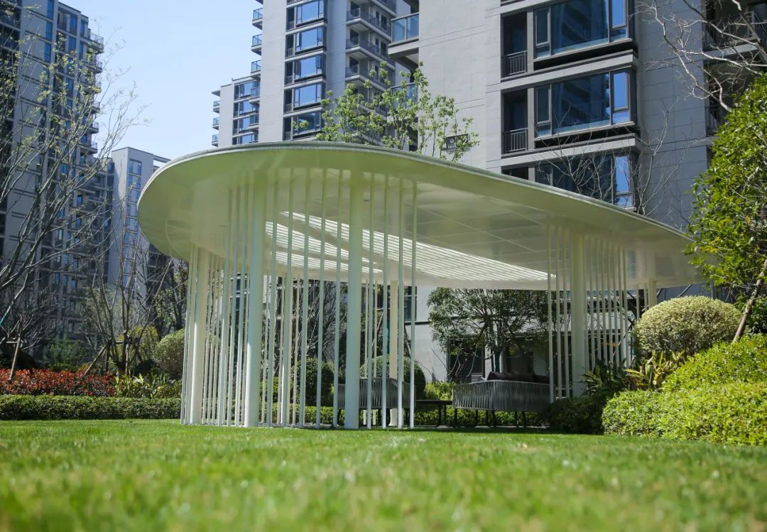 1679645233713927cnNY.jpg 1679645233713927cnNY.jpg