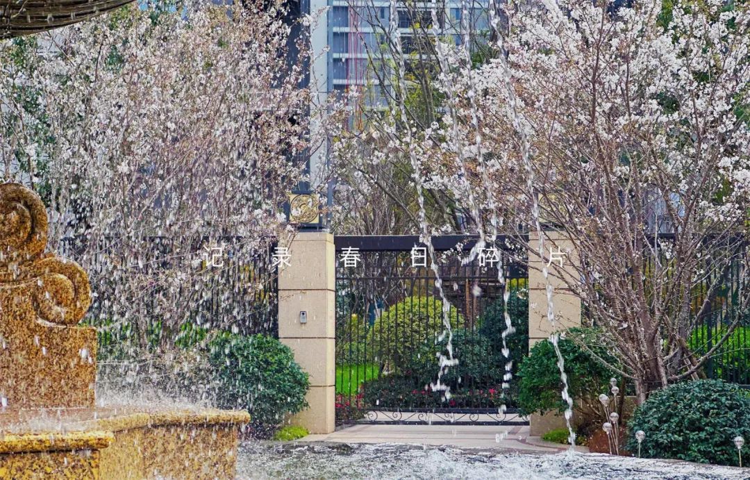 16796452526559841rjO.jpg 16796452526559841rjO.jpg