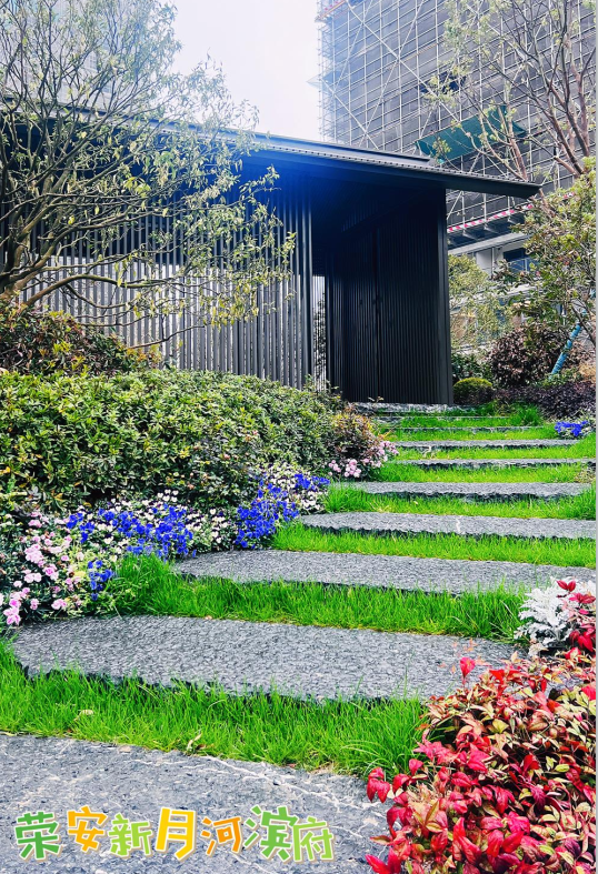 16796464393893876NCQ.png 16796464393893876NCQ.png