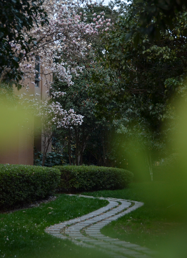 1679648414715551iDwb.png 1679648414715551iDwb.png